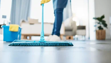 DVA Household Services