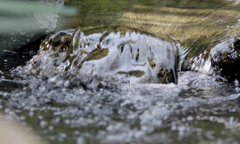 Solar Powered Pond Aeration: A Sustainable Solution for Your Pond