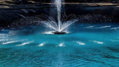 What's the Perfect Spot for a fountain? Smart Fountain Placement for Visual Drama