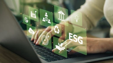 Green Design: Best Tools for Creating Eco-Friendly Marketing Materials