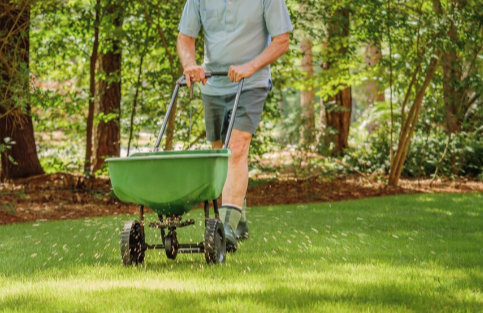 How to Maintain a Healthy and Beautiful Lawn Year-Round