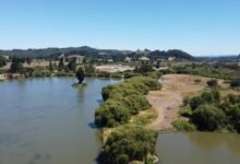 hd movie streaming platform