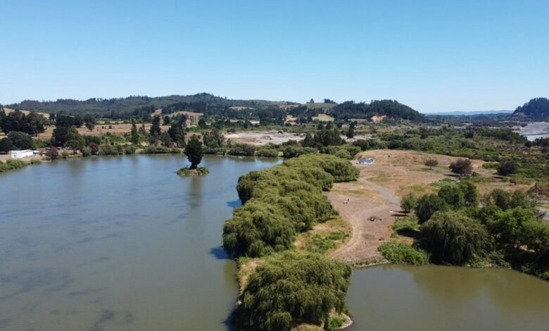 hd movie streaming platform