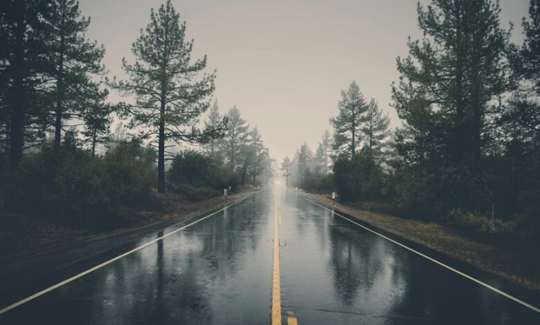 hd movies point guide