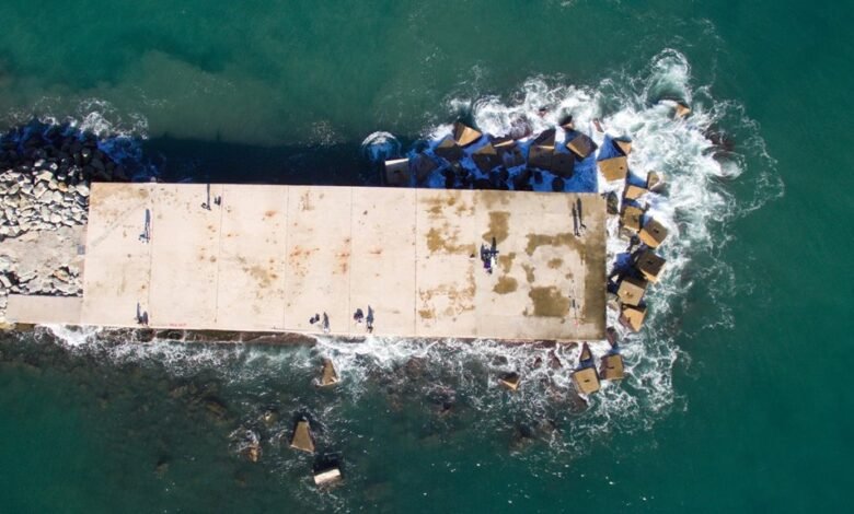 hdmovierulz streaming platform overview