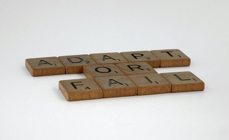 adaptive strategies and concepts