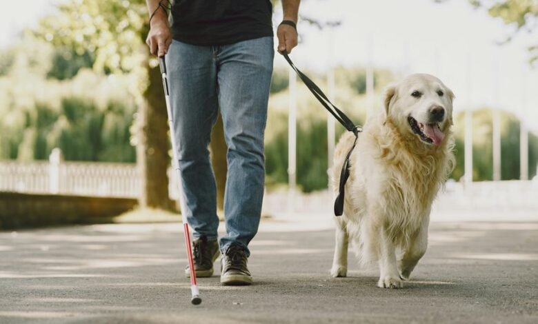 corporate tech support line