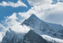 digital conference on fusion