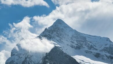 digital conference on fusion