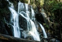 market trends in quantum