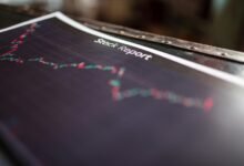 toll free feedback summary report