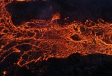 vector core market analysis